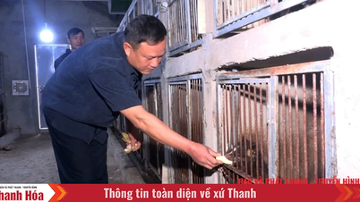Hướng xóa đói giảm nghèo mới ở xã biên giới Yên Khương