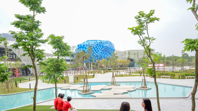 Thách thức 'xanh hóa' đại học