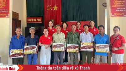 “Cánh tay nối dài” của hoạt động nhân đạo