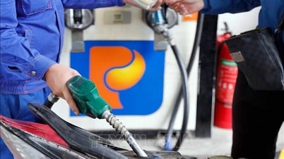 36 cửa hàng Petrolimex tại TP Hồ Chí Minh bắt đầu bán xăng E10