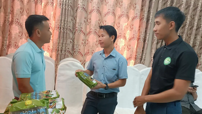 Định vị chiến lược, đẩy mạnh đổi mới sáng tạo doanh nghiệp