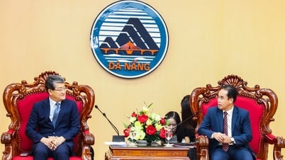 Đà Nẵng khuyến khích quận Gurye (Hàn Quốc) mở rộng hợp tác thúc đẩy kết nối lao động