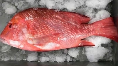 Sau bữa ăn hải sản, 8 người trong hai gia đình phải cấp cứu