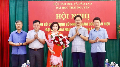 Phân hiệu Đại học Thái Nguyên tại Lào Cai có Giám đốc mới