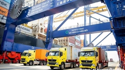 Cảng Hateco Hải Phòng đón tàu 200.000 DWT: Lãnh đạo thành phố đề nghị khẩn trương mở rộng hạ tầng