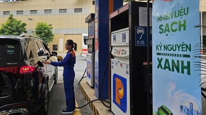 Xăng E10: Người dùng còn 'lạ lẫm' dù giá rẻ hơn, xanh hơn