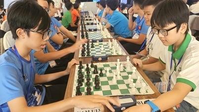 700 VĐV tham gia Giải Cờ Vua miền Trung - Tây Nguyên mở rộng lần thứ VII
