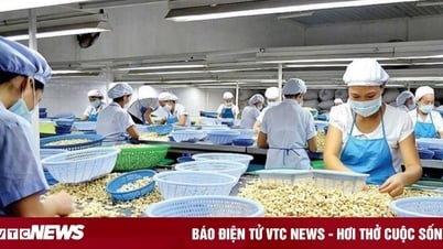 Mỹ áp thuế 20% với hàng Việt Nam: Doanh nghiệp, chuyên gia kỳ vọng giảm thêm