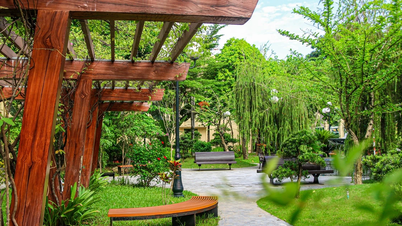 Khát vọng 'đại học xanh'