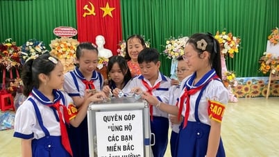 Gieo mầm biết ơn và sự tử tế