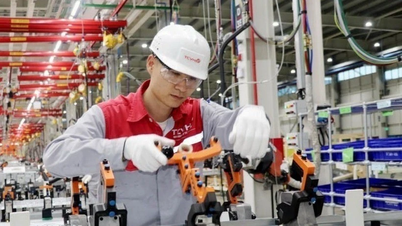 Cắt giảm, đơn giản hóa thủ tục về sản xuất, kinh doanh trong 16 lĩnh vực