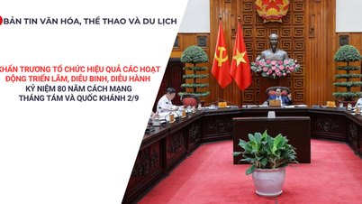 Bản tin VHTTDL: Khẩn trương tổ chức hiệu quả các hoạt động kỷ niệm 80 năm Cách mạng Tháng Tám và Quốc khánh 2/9