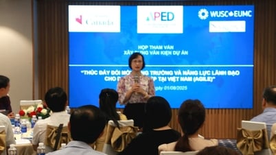 Tham vấn xây dựng dự án nâng cao năng lực cho doanh nghiệp