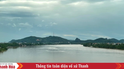 Triển khai công tác đảm bảo an toàn đê điều ứng phó với lũ trên sông Mã