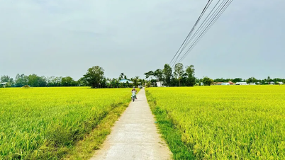 Xã Mỹ Hương khát vọng vươn mình trong nhiệm kỳ mới
