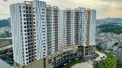Niềm vui trong căn nhà ở xã hội