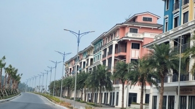 Van Don Special Zone spends 2,662 billion VND to invest in coastal road in Cai Rong area