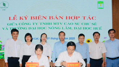 Công ty Cao su Chư Sê và Đại học Nông lâm Huế ký kết hợp tác phát triển nông nghiệp công nghệ cao