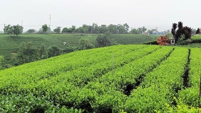 Du lịch di sản - Phác thảo một con đường