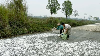 Sửa Luật Đất đai, khơi thông nguồn lực
