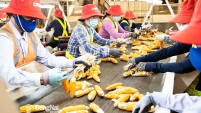 Trợ lực cho doanh nghiệp FDI hoàn thuế giá trị gia tăng