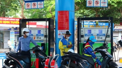 Bước vào kỷ nguyên nhiên liệu xanh, RON95 sắp nhường chỗ cho xăng E10 và E15