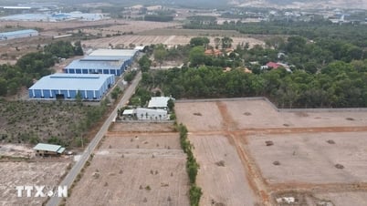 Các trường hợp nào được miễn, giảm tiền sử dụng đất, tiền thuê đất?