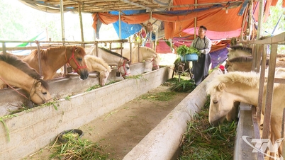 Bằng Thành thúc đẩy phát triển kinh tế bền vững