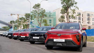 Top phụ kiện "đáng tiền" cho VinFast Limo Green khi chạy dịch vụ