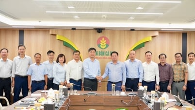 Tăng cường hợp tác chiến lược, mở rộng chuỗi giá trị khâu sau
