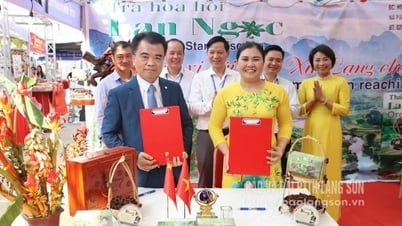 Mở đường vươn ra biển lớn