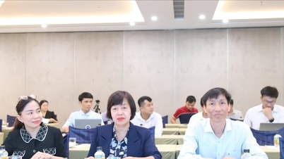 사회경제 발전을 위한 핵에너지 활용 확대