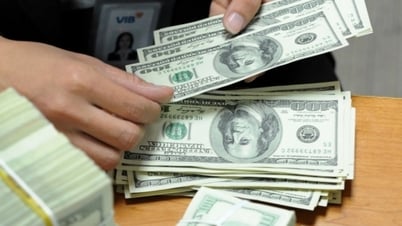 Giá USD lập kỷ lục mới