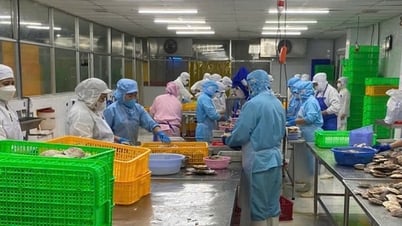 Cơ hội và thách thức cho nông sản Vệt trước 'khoảng trống' tại thị trường EU