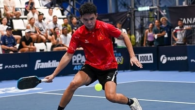 FPT Play phát độc quyền PPA Pickleball Tour Asia 2025, khán giả Việt Nam thích thú