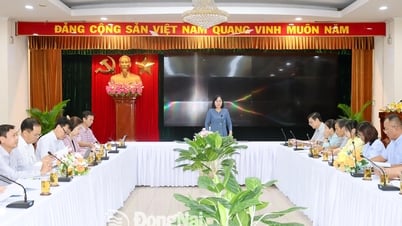 Phải hoàn thành đơn giá thu gom, xử lý rác thải sinh hoạt trong 1 tháng