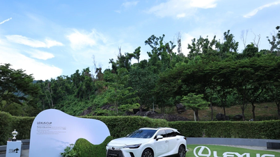 Lexus Cup 2025: Trải nghiệm đẳng cấp trong từng điểm chạm