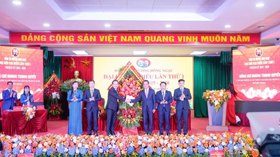 Phường Đông Ngạc hướng tới điển hình về giáo dục chất lượng cao của Thủ đô