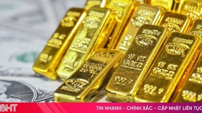 Fed chưa họp, vàng đã rớt giá mạnh – nhà đầu tư lo sốc