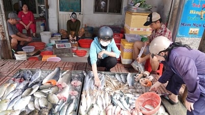Hiểu sai vitamin B12 có thể gây ung thư nên 'trốn tránh' mặc kệ suy kiệt