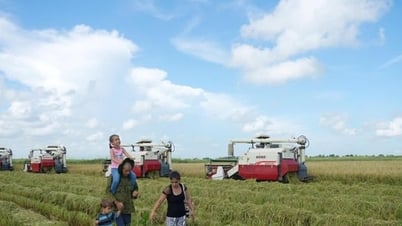 VTV đặc biệt “Hạt giống hạnh phúc” phát sóng song song tại Việt Nam và Cuba