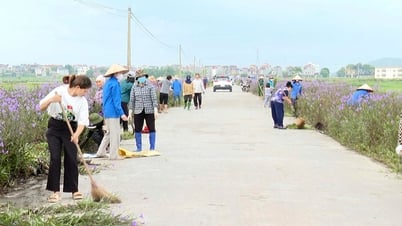 Bắc Ninh: Các địa phương đẩy mạnh thu gom rác thải, vệ sinh môi trường