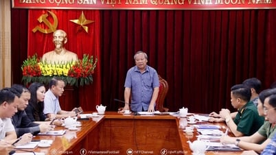 Tích cực triển khai tổ chức vòng bảng C