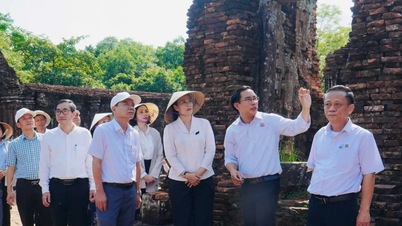 Đà Nẵng đẩy nhanh lập quy hoạch bảo tồn, phát huy giá trị Khu đền tháp Mỹ Sơn