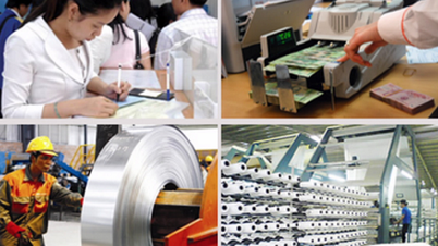 Tổng điều tra kinh tế trên phạm vi toàn quốc từ 5/1/2026
