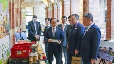 Hội chợ thương hiệu hàng xuất khẩu Việt Nam năm 2025 - nơi kết nối hợp tác, giao thương