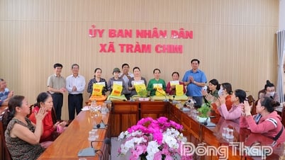 Chợ thực phẩm Tam Nông sau vụ cháy: Chung tay chia sẻ khó khăn với tiểu thương