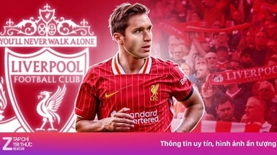Chiesa châm ngòi phẫn nộ