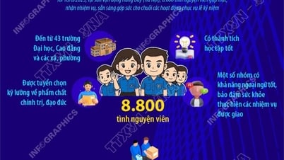 8.800 tình nguyện viên phục vụ lễ kỷ niệm 80 năm Quốc khánh