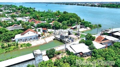 Sức sống mới trên vùng đất Cù lao Tân Long